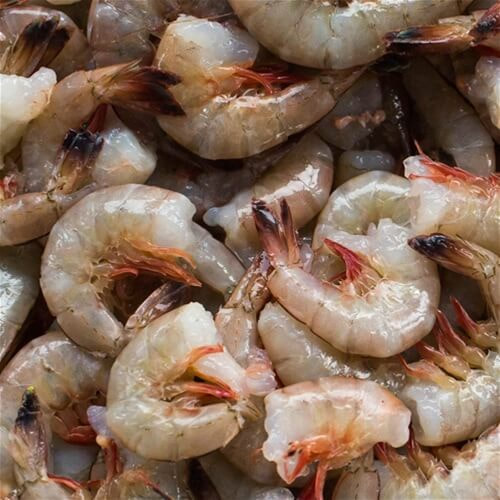 Gulf Shrimp U12 Size Dobbs Ferry Lobster Guys